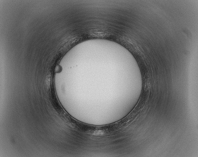 X0000113090647200909251011