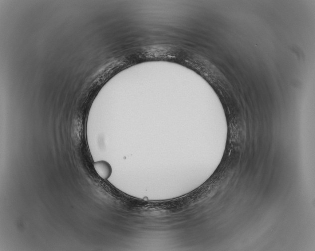 X0000113090648200909251011