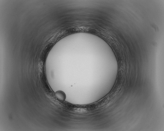 X0000113090649200909251011