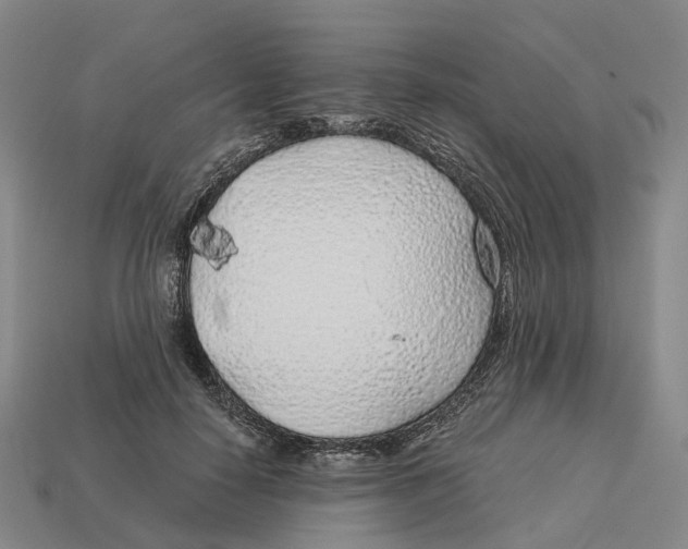 X0000113090650200909251011