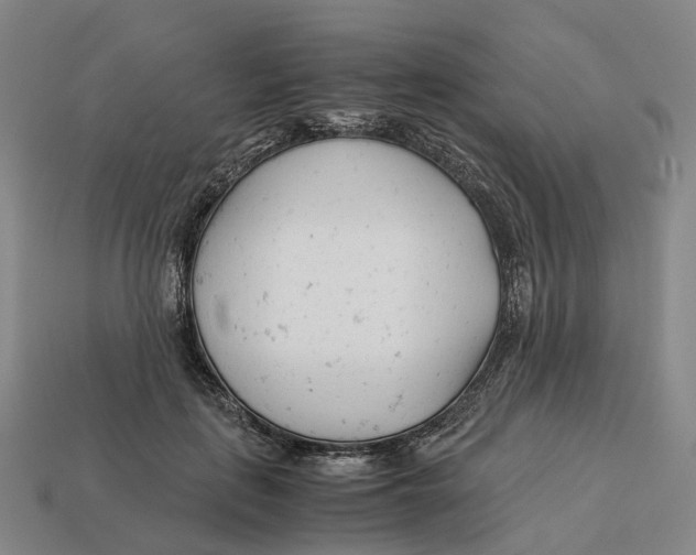 X0000113090651200909251011