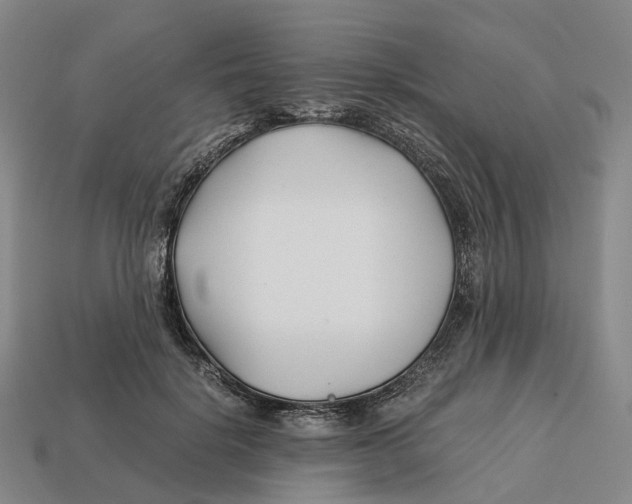 X0000113090652200909251011
