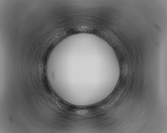 X0000113090653200909251011