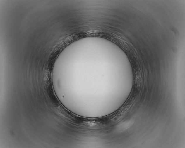X0000113090654200909251011