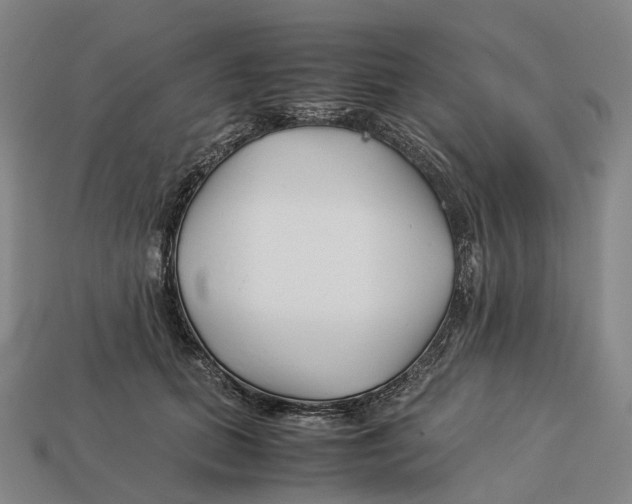 X0000113090655200909251011