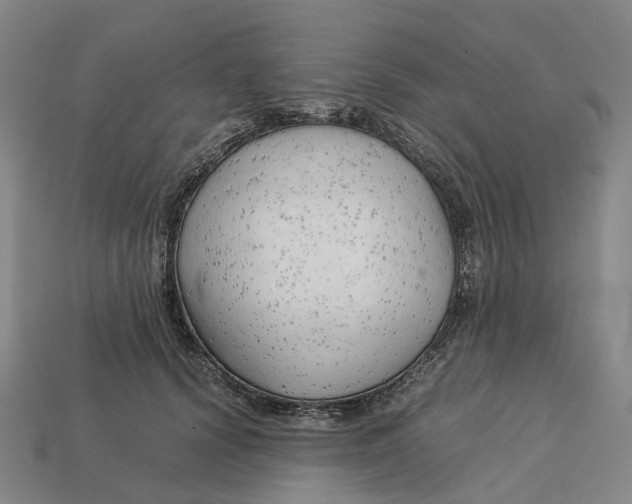 X0000113090656200909251011