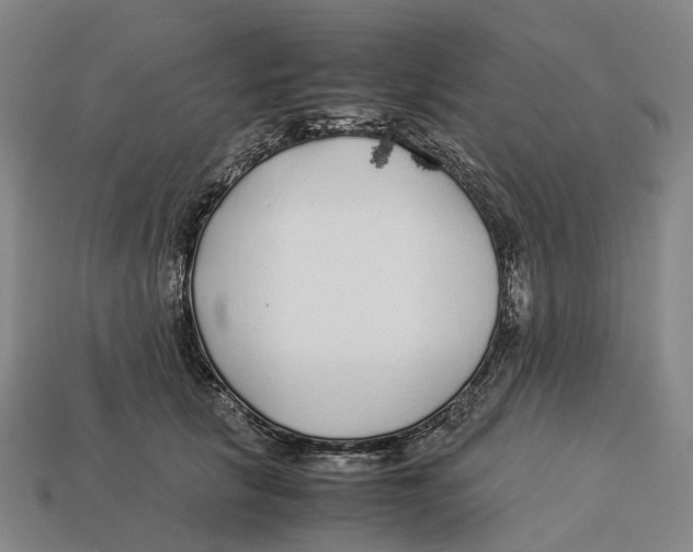 X0000113090657200909251011