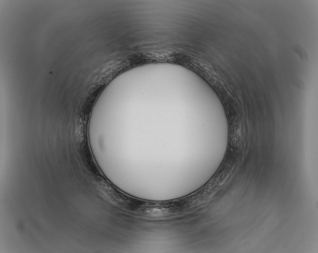 X0000113090658200909251011