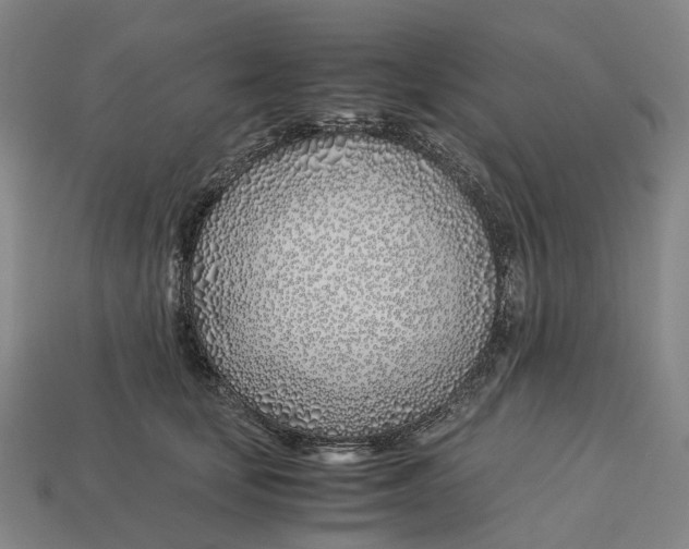 X0000113090659200909251011