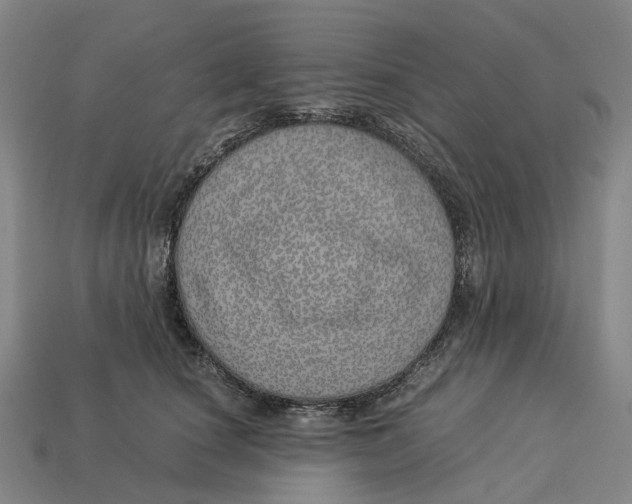 X0000113090660200909251011