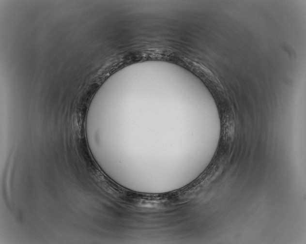 X0000113090661200909251011