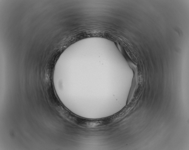 X0000113090662200909251011
