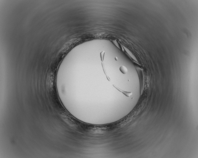 X0000113090664200909251011