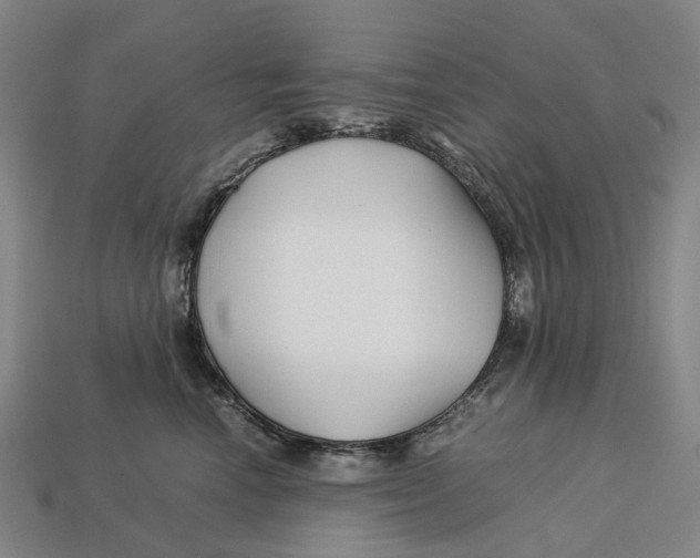X0000113090666200909251011