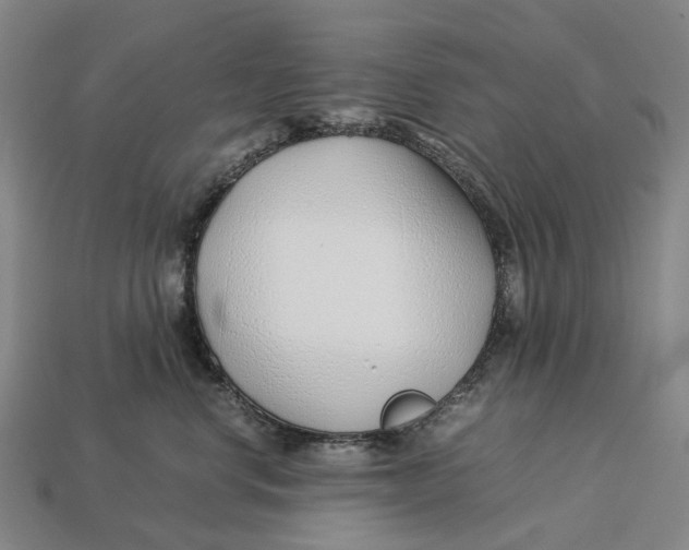 X0000113090668200909251011