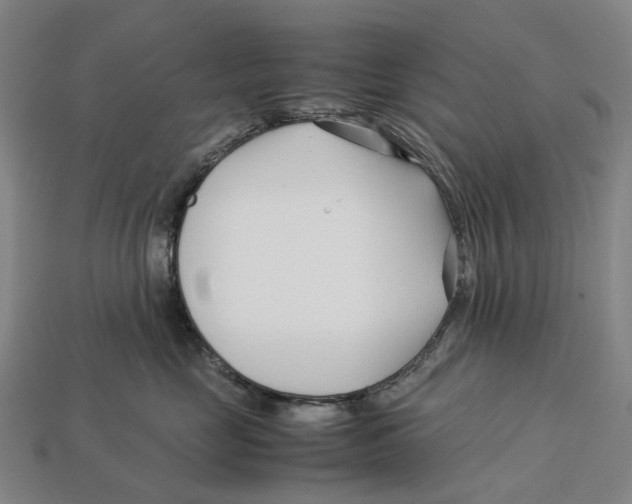 X0000113090669200909251011