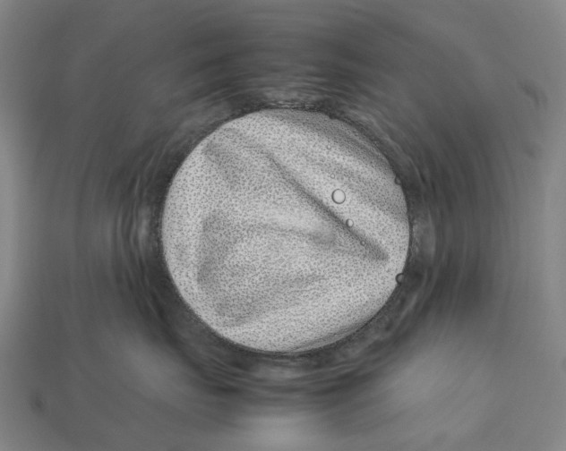 X0000113090671200909251011