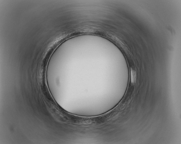 X0000113090675200909251011