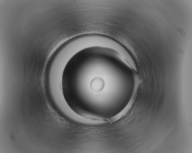 X0000113090676200909251011