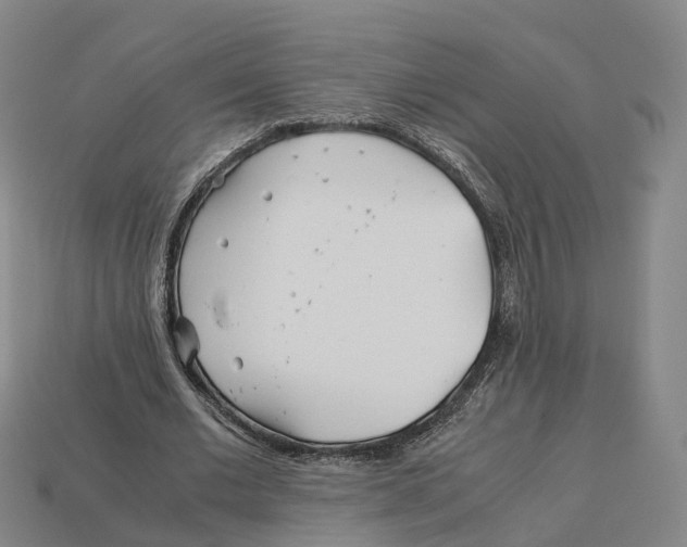 X0000113090677200909251011