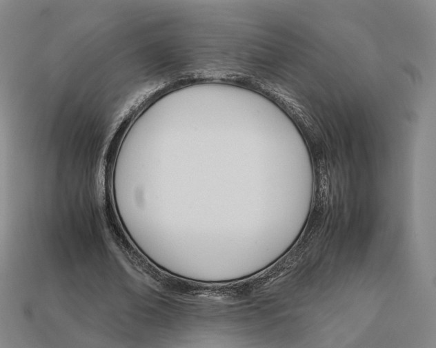 X0000113090678200909251011