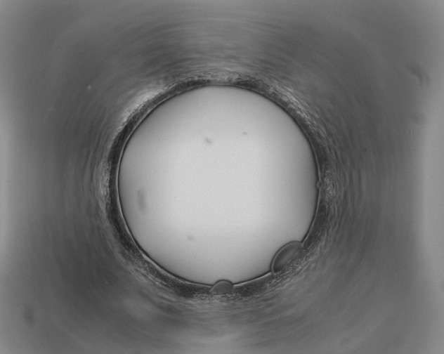 X0000113090679200909251011