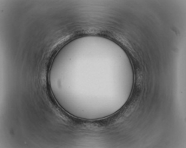 X0000113090681200909251011