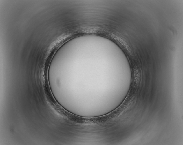 X0000113090682200909251011