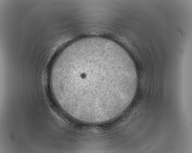 X0000113090683200909251011