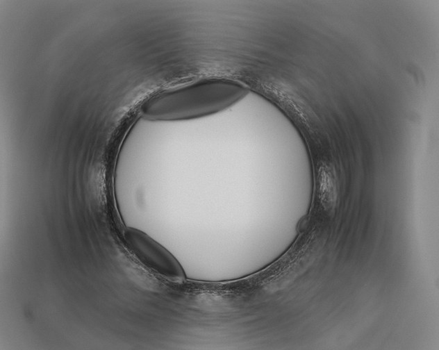 X0000113090684200909251011