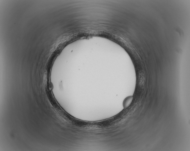 X0000113090685200909251011