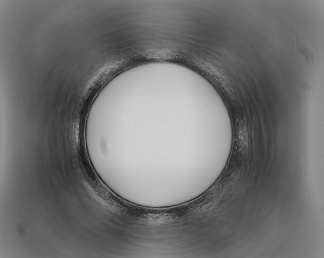 X0000113090686200909251011