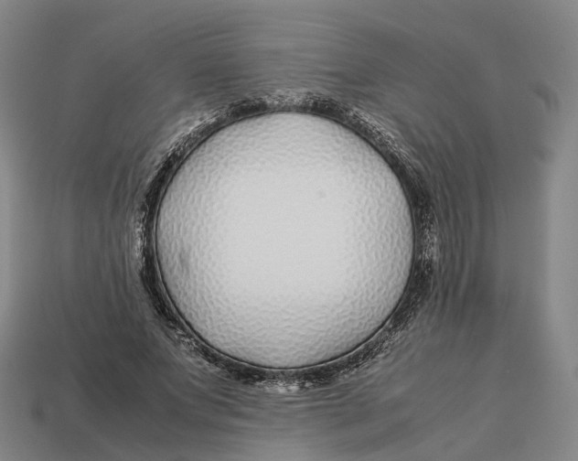 X0000113090687200909251011