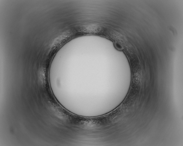 X0000113090688200909251011