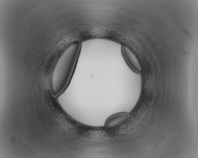 X0000113090689200909251011