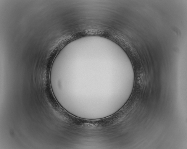X0000113090690200909251011