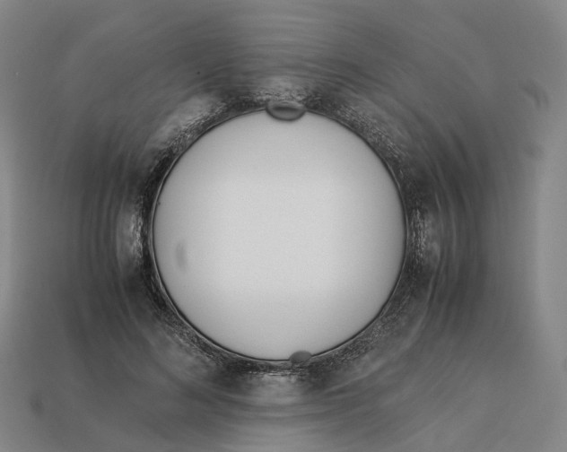 X0000113090692200909251010