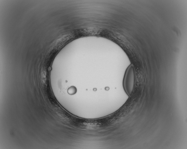 X0000113090693200909251010
