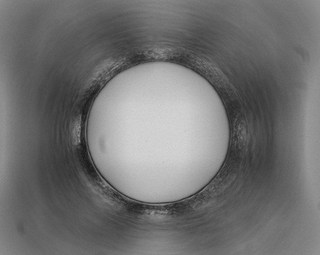 X0000113090694200909251010