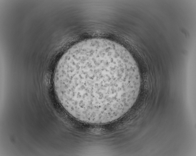 X0000113090695200909251010