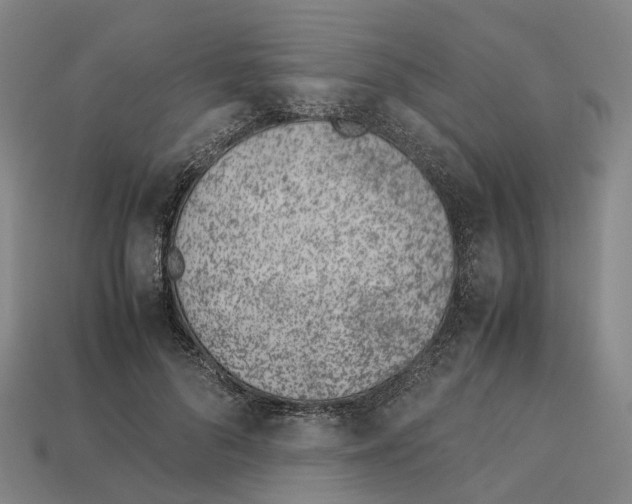 X0000113090696200909251010