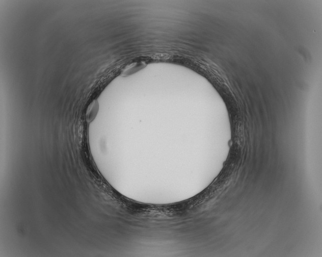 X0000113090697200909251010