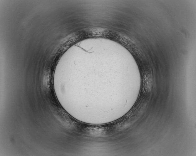 X0000113090698200909251010