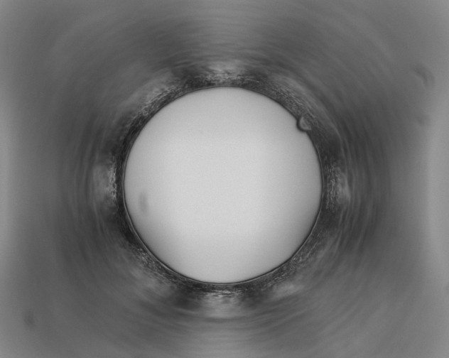 X0000113090700200909251010
