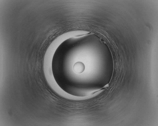 X0000113090701200909251010