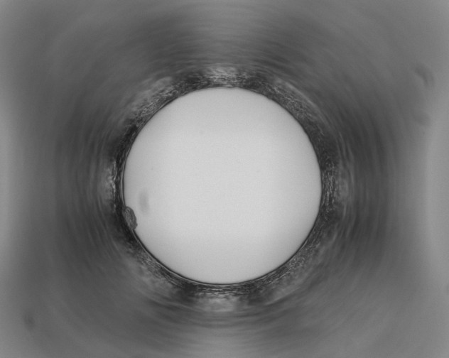 X0000113090702200909251010