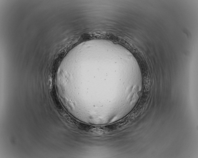 X0000113090703200909251010