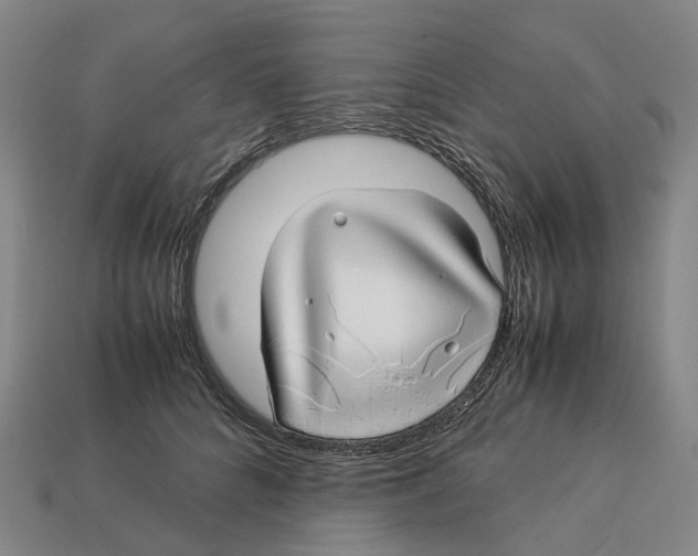 X0000113090704200909251010