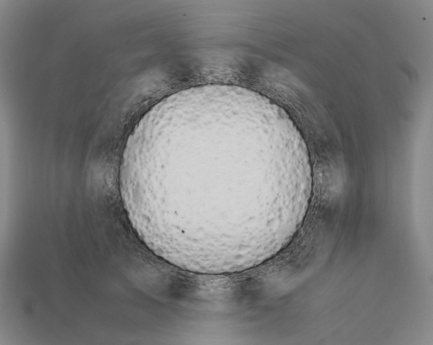 X0000113090705200909251010