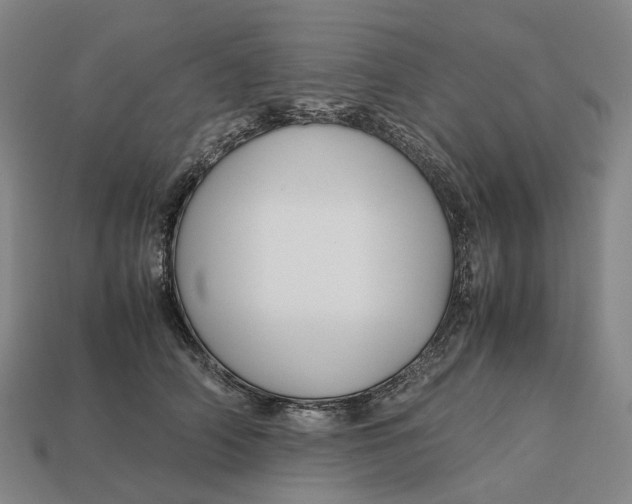 X0000113090706200909251010